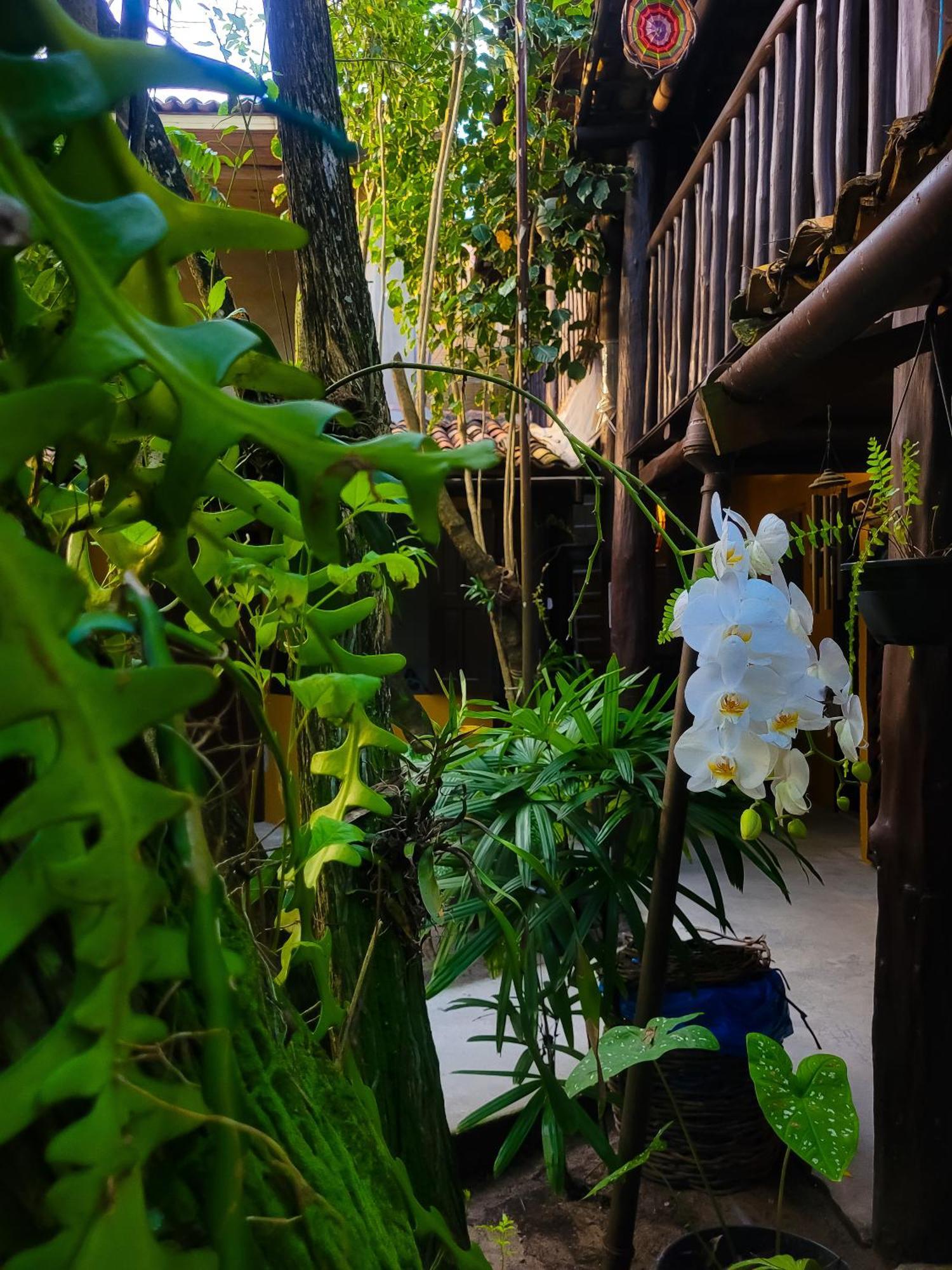Pousada Raiz Forte Caraíva Exteriér fotografie