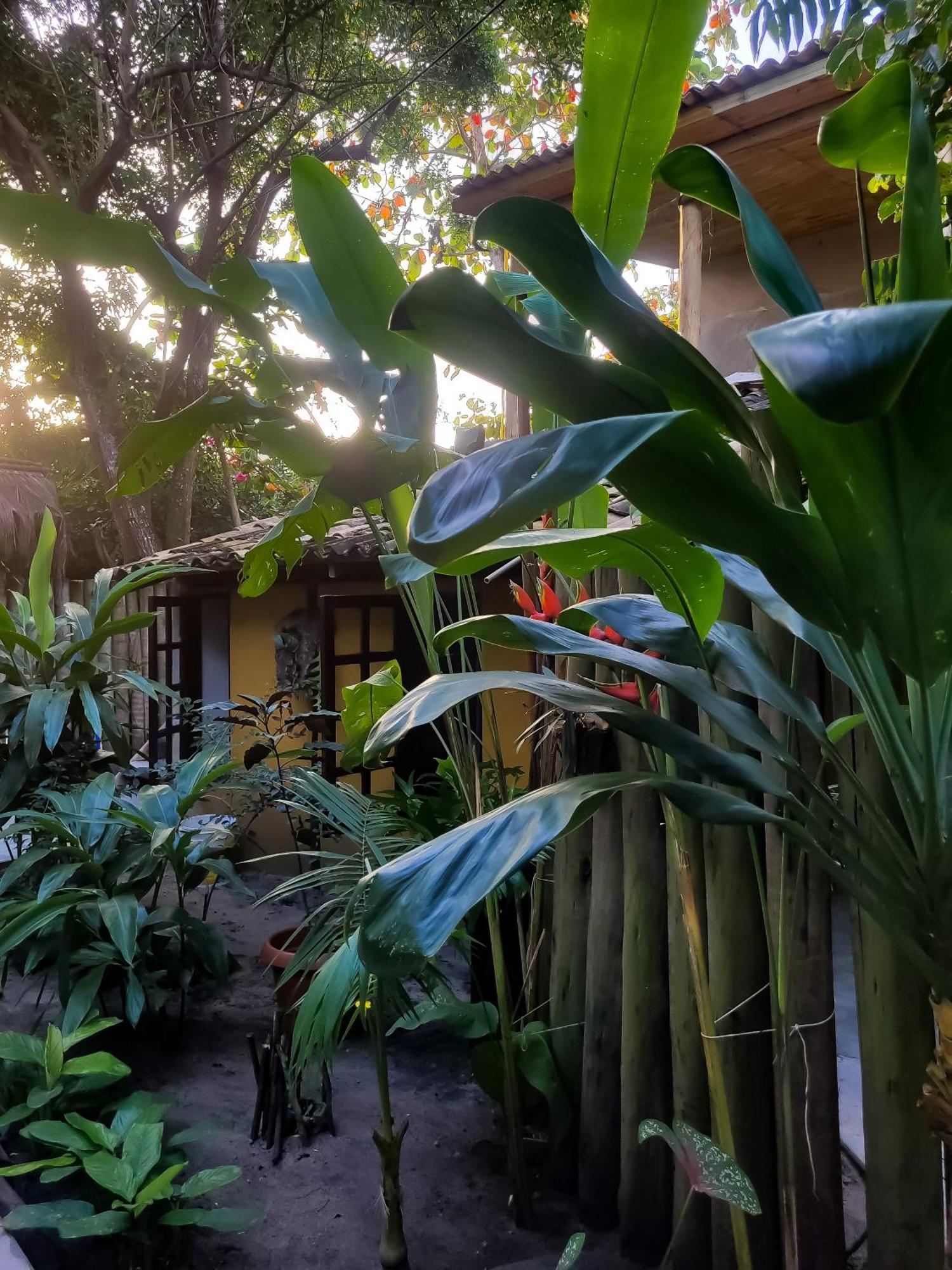 Pousada Raiz Forte Caraíva Exteriér fotografie